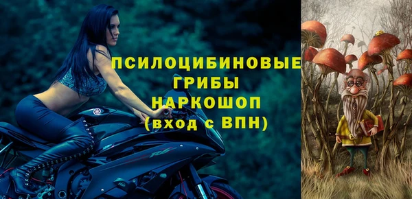 прущий лед Богородск